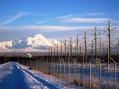 HAARP-Antenna Field-New.jpg